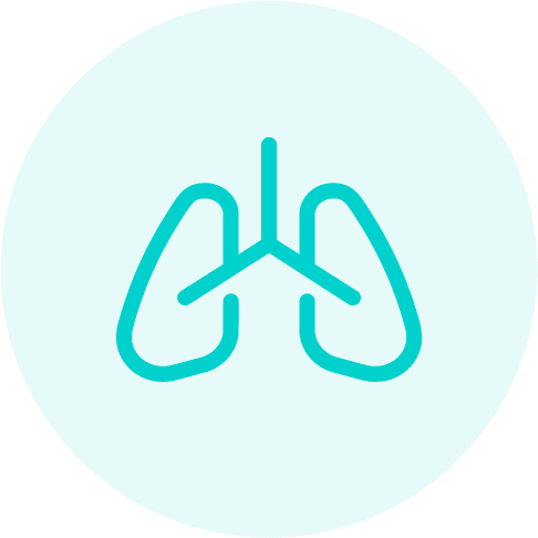 icon-24