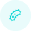 icon-6