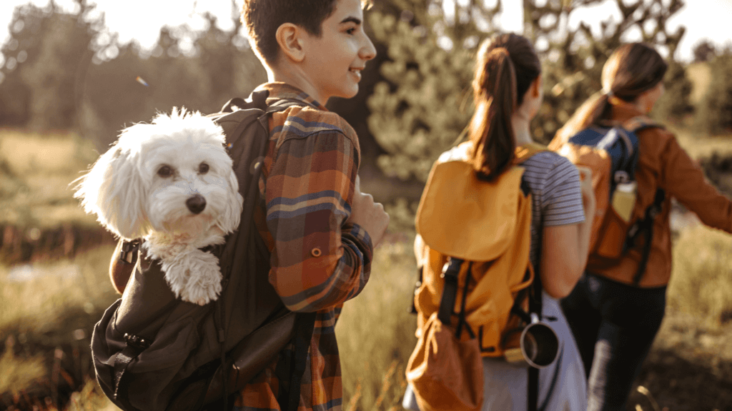 kids hiking