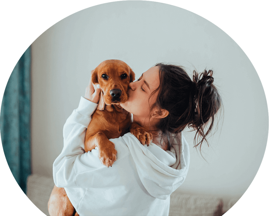 dog-getting-kisses-from-owner