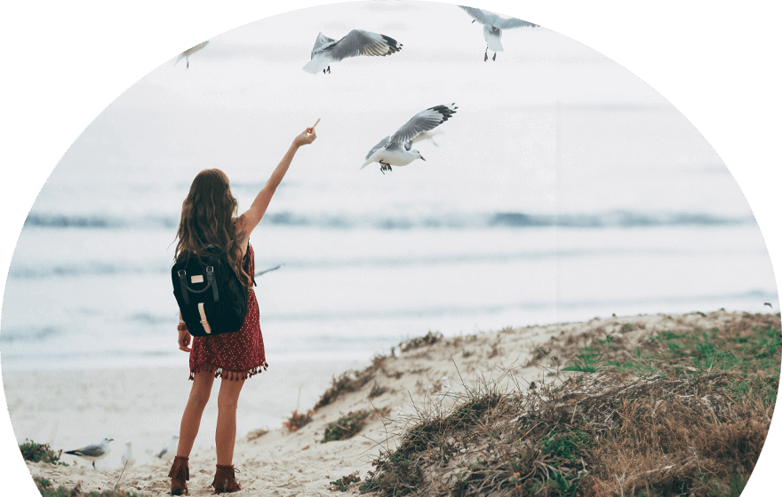 woman-on-the-beach-feeding-seagulls