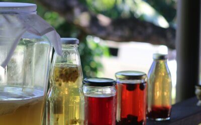Probiotics & Prebiotics in Ireland – Gut Health Explained